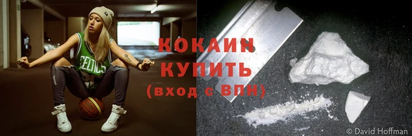 бошки Белокуриха