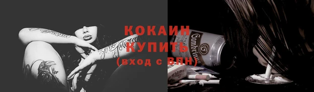 бошки Белокуриха