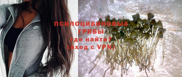 бошки Белокуриха
