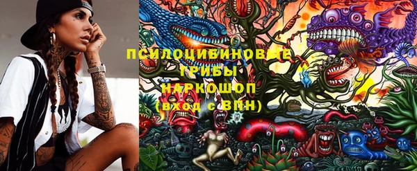 эйфоретик Беломорск