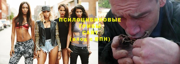 эйфоретик Беломорск