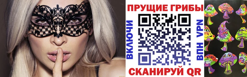 Галлюциногенные грибы Psilocybe  Великий Устюг 
