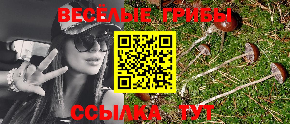 Великий Устюг  Псилоцибиновые грибы ЛСД  Вход с VPN  наркошоп  Галлюциногенные грибы Psilocybe 