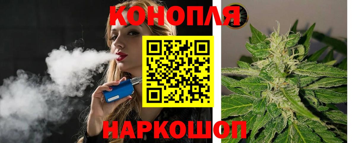 Великий Устюг  Бошки Шишки Amnesia  Вход с VPN  Канабис тримм 